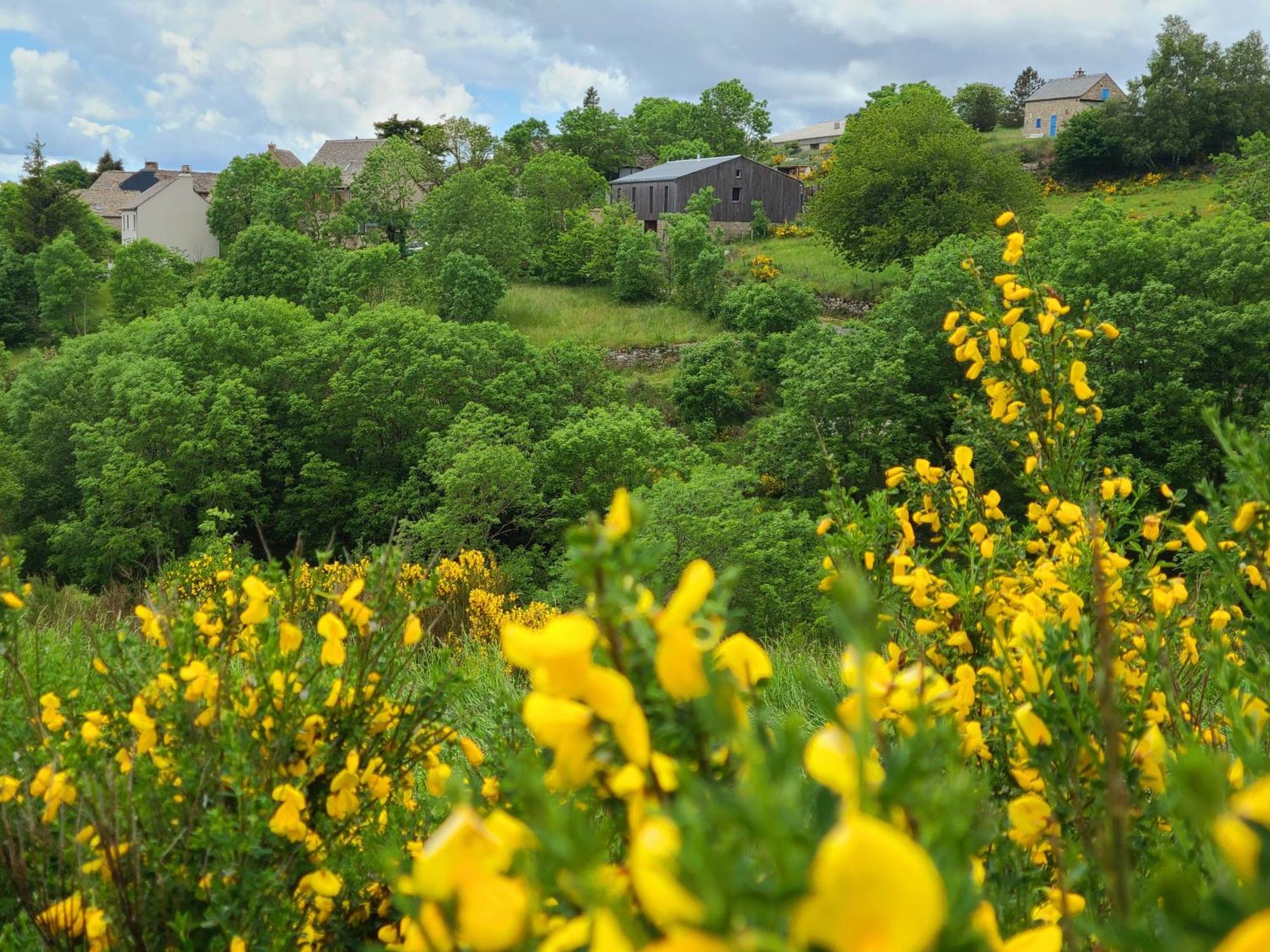 Gites La Boletiere Saint-Étienne-du-Valdonnez Extérieur photo